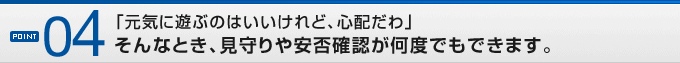 POINT04�u���C�ɗV�Ԃ̂͂�������ǁA�S�z����v����ȂƂ��A��������ۊm�F�����x�ł��ł��܂��B