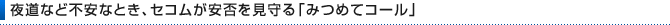 �铹�ȂǕs���ȂƂ��A�Z�R���������u�݂߂ăR�[���v