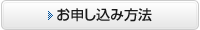 ���\�����ݕ��@