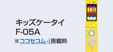 �L�b�Y�P�[�^�CF-05A