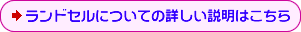 �˃����h�Z���ɂ��Ă̏ڂ��������͂�����
