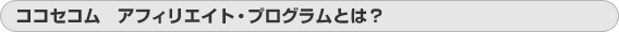 �R�R�Z�R���@�A�t�B���G�C�g�E�v���O�����Ƃ́H